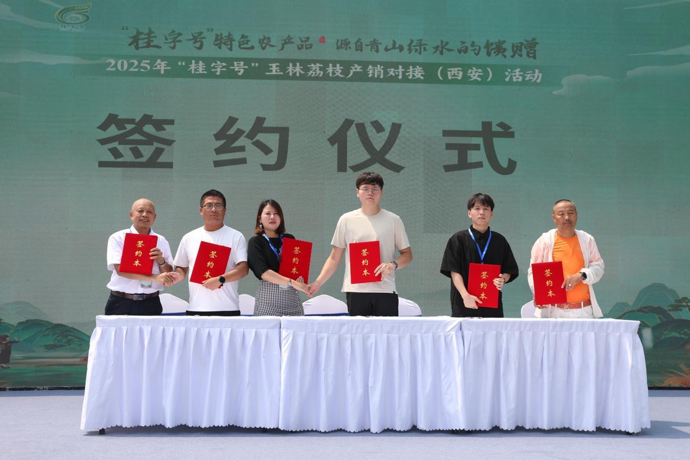 “桂字号”玉林荔枝产销对接活动举办，助力乡村振兴与产业升级