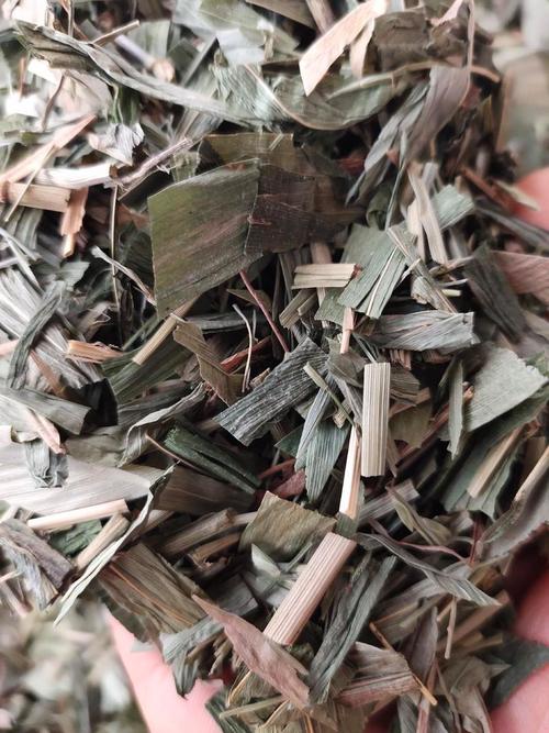 淡竹叶 广西玉林产地货与农产品初加工观察
